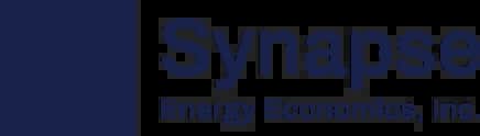 Synapse Energy Economics, Inc Logo