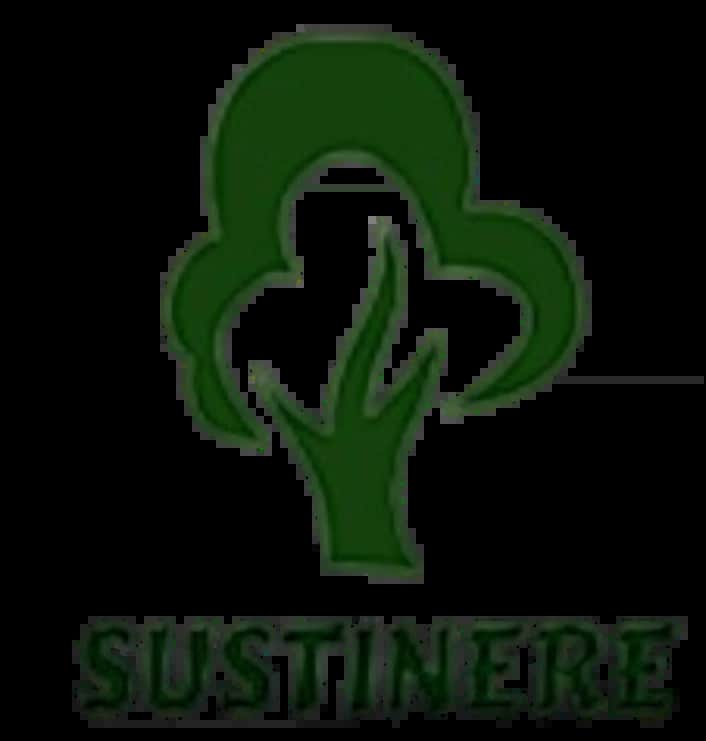 Sustinere Global Logo