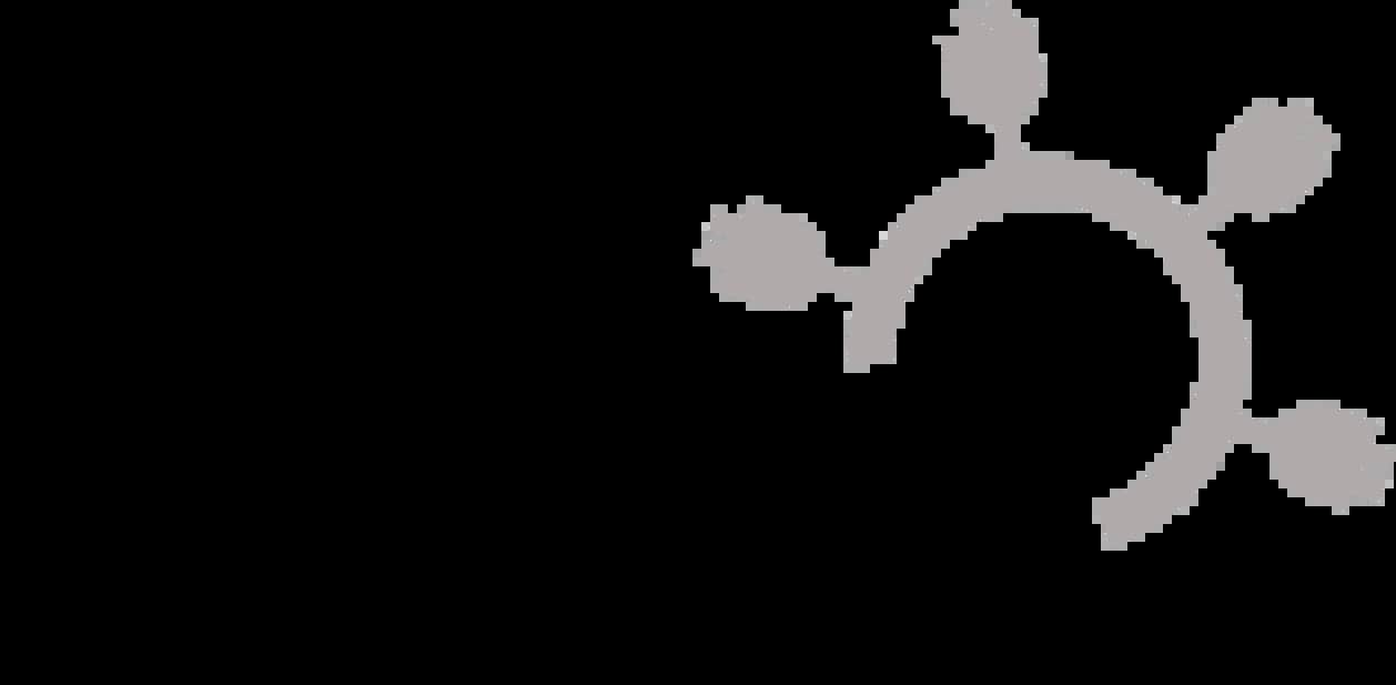 Derapi, Inc. Logo